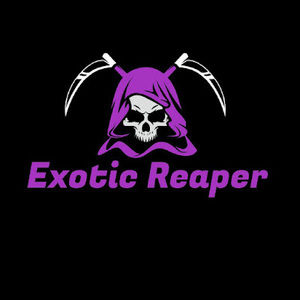 Meet your Posher, Youtube